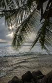 Туры в отель La Coralina Island House Туры в отель La Coralina Island House