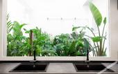 Туры в отель 2060 The Newton Hostel & Market Туры в отель 2060 The Newton Hostel & Market