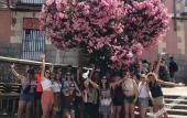 Туры в отель 2060 The Newton Hostel & Market Туры в отель 2060 The Newton Hostel & Market