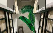 Туры в отель HappyNest Hostel Cebu Туры в отель HappyNest Hostel Cebu
