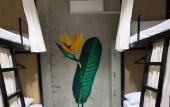 Туры в отель HappyNest Hostel Cebu Туры в отель HappyNest Hostel Cebu