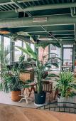 Туры в отель Hotel Nell - Union Market Туры в отель Hotel Nell - Union Market