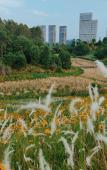 Туры в отель Ascott Tianfu CBD Chengdu Туры в отель Ascott Tianfu CBD Chengdu