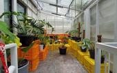 Туры в отель Roompini Туры в отель Roompini