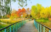 Туры в отель Ruitai International Hotel (Wuhan Tianhe Airport Aviation Headquarters Subway Station) Туры в отель Ruitai International Hotel (Wuhan Tianhe Airport Aviation Headquarters Subway Station)