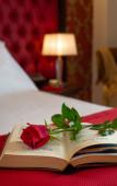 Туры в отель La Paloma Blanca Hotel Туры в отель La Paloma Blanca Hotel