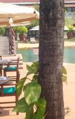 Туры в отель The Lalit Golf & Spa Resort Goa Туры в отель The Lalit Golf & Spa Resort Goa