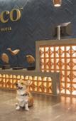 Туры в отель voco Guadalajara Neruda by IHG Туры в отель voco Guadalajara Neruda by IHG