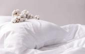 Туры в отель Hotel Madame Туры в отель Hotel Madame