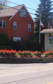 Туры в отель Maple Leaf Inn - Lake Placid Туры в отель Maple Leaf Inn - Lake Placid