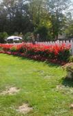 Туры в отель Maple Leaf Inn - Lake Placid Туры в отель Maple Leaf Inn - Lake Placid