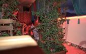 Туры в отель B&B Ballarattik Туры в отель B&B Ballarattik