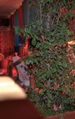 Туры в отель B&B Ballarattik Туры в отель B&B Ballarattik