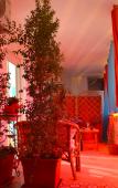 Туры в отель B&B Ballarattik Туры в отель B&B Ballarattik