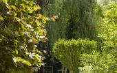 Туры в отель Hotel de Charme L'Amandiere Туры в отель Hotel de Charme L'Amandiere