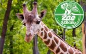 Туры в отель Ven Diofa De Lux Panzio Туры в отель Ven Diofa De Lux Panzio