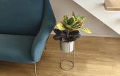 Туры в отель Arche Design Rooms and Suites Туры в отель Arche Design Rooms and Suites