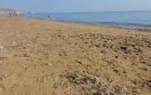 Туры в отель Corte Della Jbsa Туры в отель Corte Della Jbsa