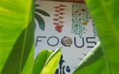 Туры в отель Focus Rooms Туры в отель Focus Rooms