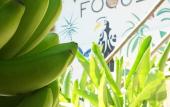 Туры в отель Focus Rooms Туры в отель Focus Rooms