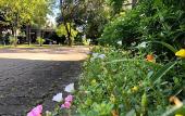Туры в отель Likita Resort Туры в отель Likita Resort
