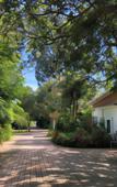 Туры в отель Likita Resort Туры в отель Likita Resort