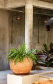 Туры в отель Raiz Hotel Boutique Туры в отель Raiz Hotel Boutique