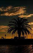 Туры в отель Travel Station Туры в отель Travel Station