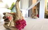 Туры в отель Villa Huruma Туры в отель Villa Huruma