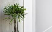 Туры в отель Shintana Saya La Maison Туры в отель Shintana Saya La Maison