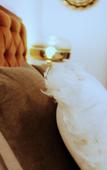 Туры в отель Hostal Roomsole Туры в отель Hostal Roomsole