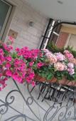 Туры в отель Hotel La Palazzina Туры в отель Hotel La Palazzina