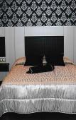 Туры в отель Hostal Fuente de la Magdalena Туры в отель Hostal Fuente de la Magdalena