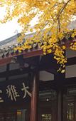 Туры в отель CYNN XANADU HOTEL, CHENGDU Туры в отель CYNN XANADU HOTEL, CHENGDU
