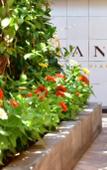 Туры в отель San Anton Hotel Туры в отель San Anton Hotel