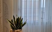 Туры в отель Jolly Charme Suite Туры в отель Jolly Charme Suite