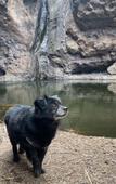 Туры в отель Alojamientos Charco Azul Туры в отель Alojamientos Charco Azul