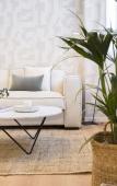 Туры в отель MIOSOTIS SUITES Туры в отель MIOSOTIS SUITES