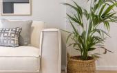 Туры в отель MIOSOTIS SUITES Туры в отель MIOSOTIS SUITES