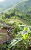 Туры в отель Pu Hmong Eco Retreat Туры в отель Pu Hmong Eco Retreat