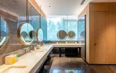 Туры в отель Holiday Inn CHONGQING DATA VALLEY by IHG Туры в отель Holiday Inn CHONGQING DATA VALLEY by IHG