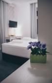 Туры в отель Hotel Central Park Туры в отель Hotel Central Park