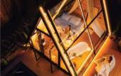 Туры в отель Morning Star Glamping Туры в отель Morning Star Glamping