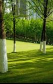 Туры в отель Licheng Jundun Hotel (Chongqing Central Park) Туры в отель Licheng Jundun Hotel (Chongqing Central Park)