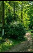 Туры в отель Licheng Jundun Hotel (Chongqing Central Park) Туры в отель Licheng Jundun Hotel (Chongqing Central Park)