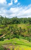 Туры в отель Amaya Sebatu Villa Туры в отель Amaya Sebatu Villa