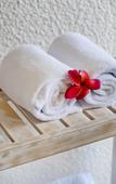 Туры в отель Amaya Sebatu Villa Туры в отель Amaya Sebatu Villa