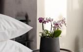 Туры в отель Regal Hotel Mitropoleos Туры в отель Regal Hotel Mitropoleos