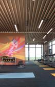 Туры в отель Hampton by Hilton Qianjiang Туры в отель Hampton by Hilton Qianjiang
