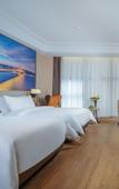 Туры в отель Vienna International Hotel (Shehong Tulip hotel) Туры в отель Vienna International Hotel (Shehong Tulip hotel)